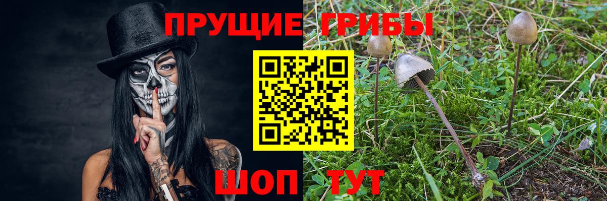 Галлюциногенные грибы Psilocybine cubensis  Вход с VPN  Канск 