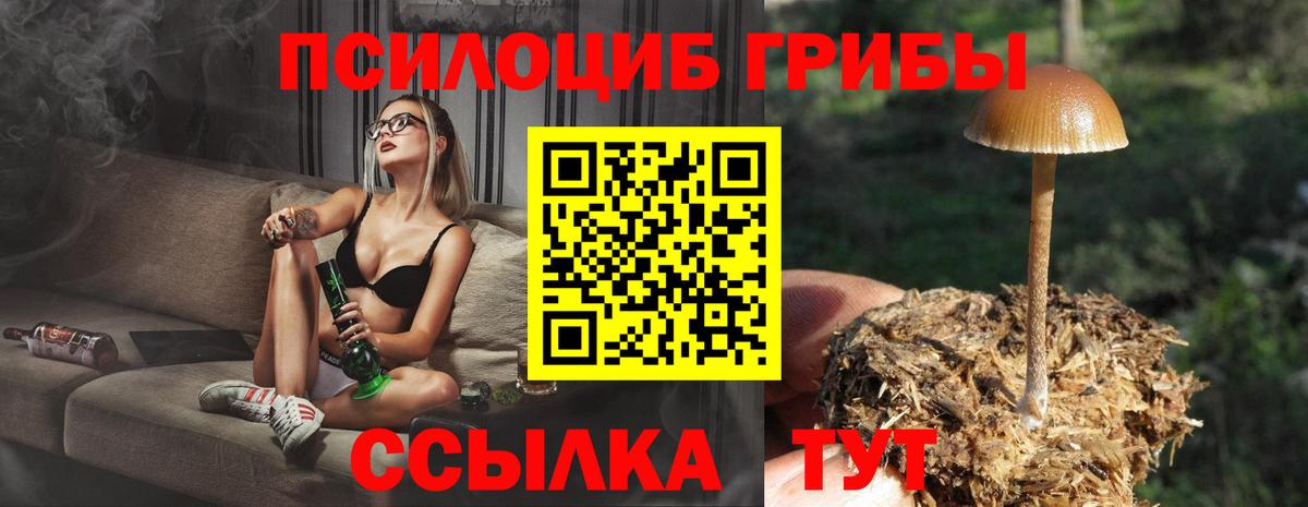 Псилоцибиновые грибы Magic Shrooms Канск